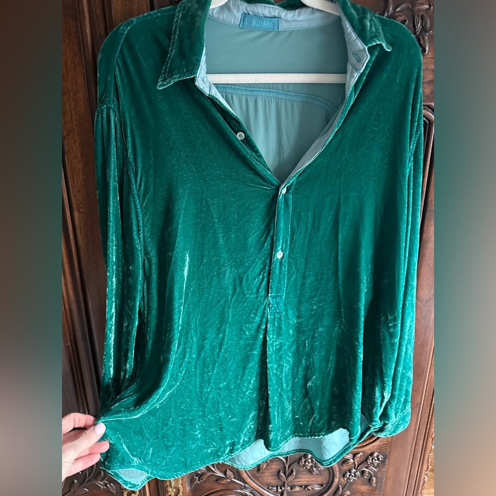 CP Shades Emerald Green Velvet Button-Up Blouse